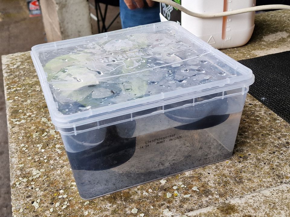 Yes, these are tyres (tires if you're in North America) in a container of water! Do you know why they're in there? (Foam on-road racers, keep quiet just for a bit!