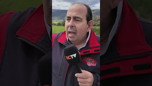 What's going on with with the IFMAR Buggy Worlds in Brazil?