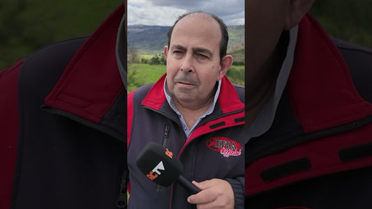 What happened with the IFMAR E Buggy World Cup??