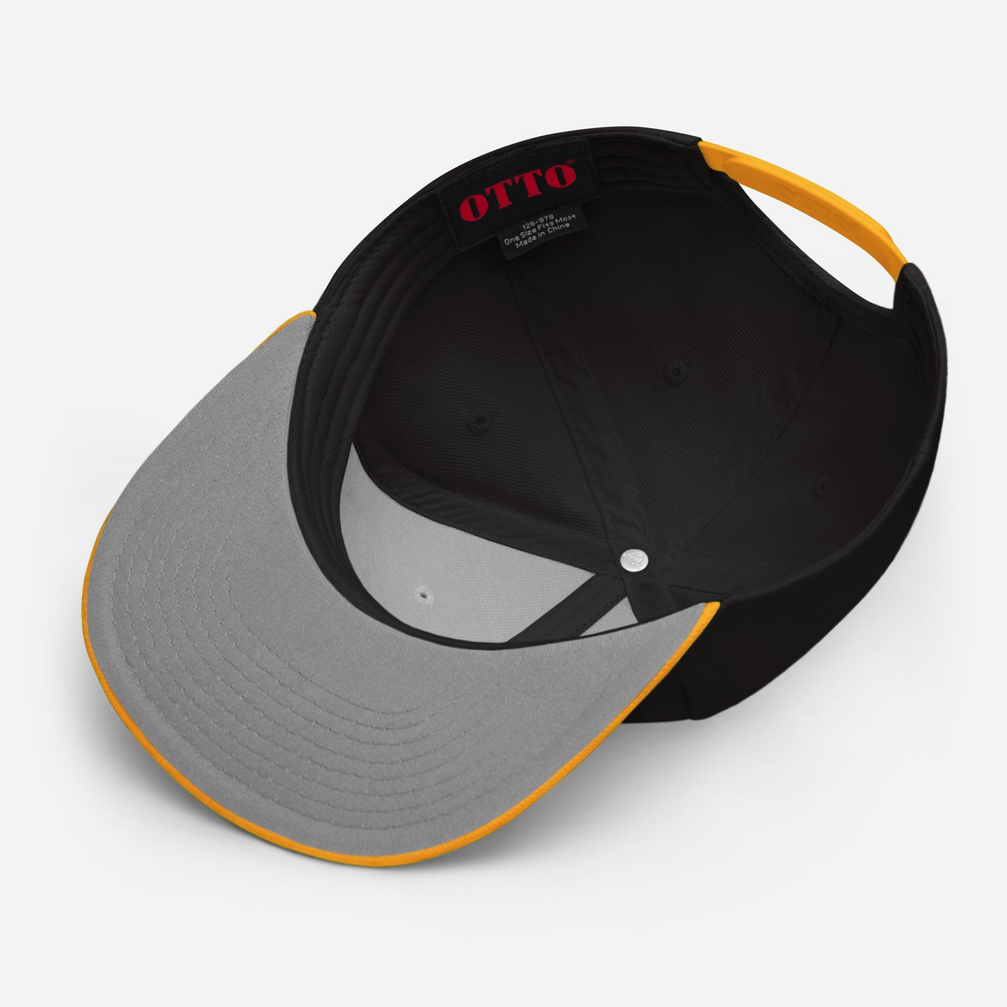 Pesky Birds! RCTV Snapback Hat