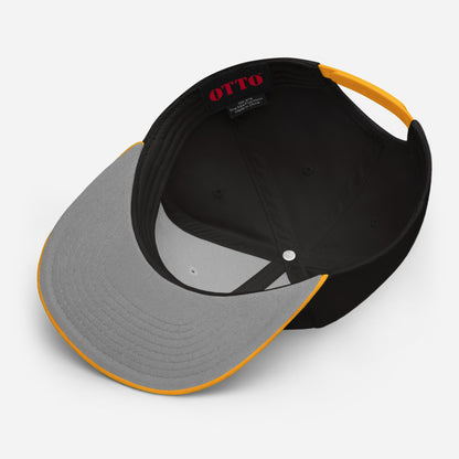 Pesky Birds! RCTV Snapback Hat